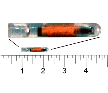 13mm Bio Polymer ISO FDX-B FUSION Microchip - Image 2