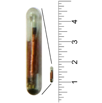 8mm Bio Glass Microchip Syringe Implanter Packs - Image 5